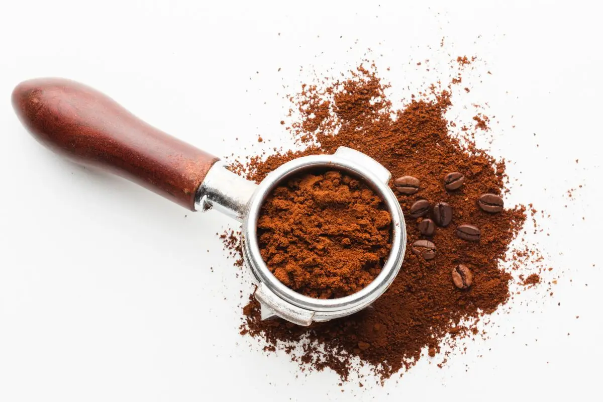 Non buttare i fondi di caffè: ecco come usarli nell’orto per triplicare il raccolto e allontanare i parassiti